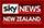 Sky News Channel - New Zealand logo